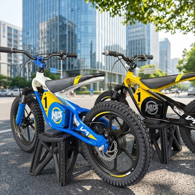 OWAY HUS Kids' Racing Electric Motorcycle, 16 inch, 250W, US Stock