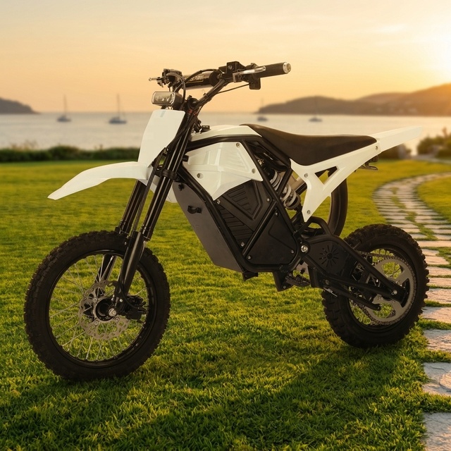 Electric Motorcycle