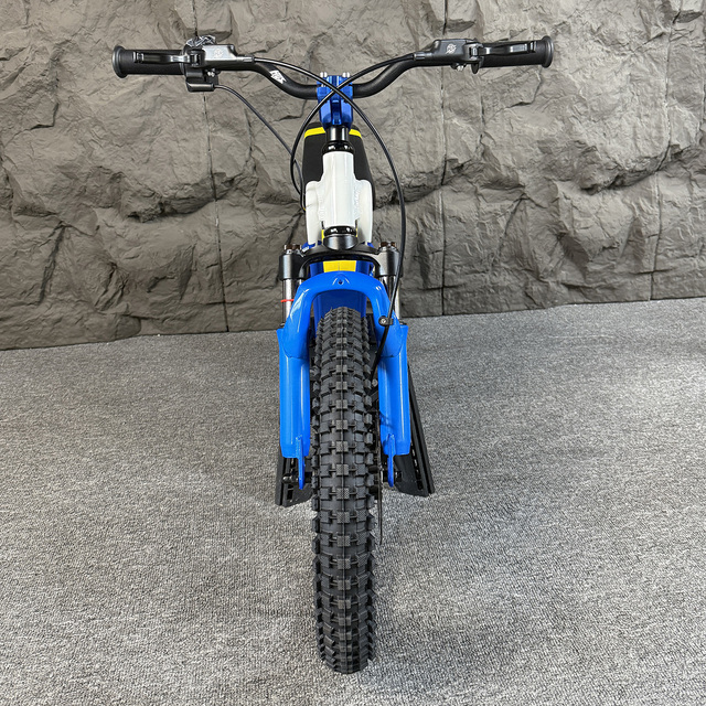 Kids Electric Bikes