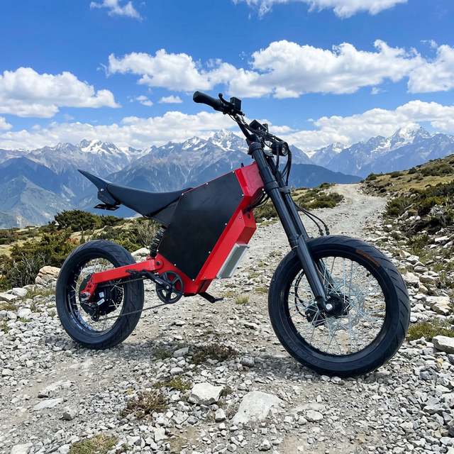 Electric Vehicles Engineered for the Global Market